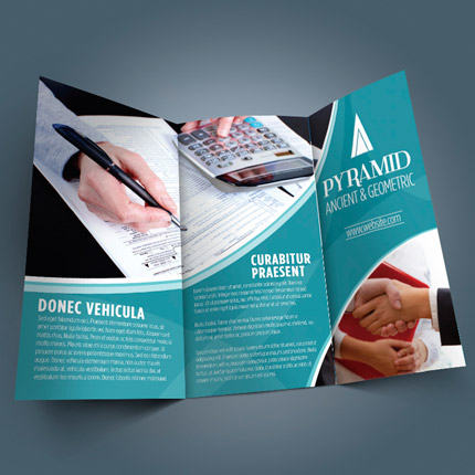 flyer_brochure-large.jpg
